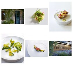 All Yours at The French Laundry