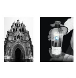 San Miguel de Allende with Tequila Casa Dragones and Todd and Ceron