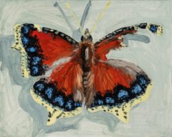 MOURNING CLOAK BUTTERFLY